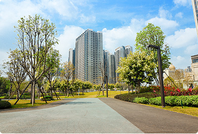 廣東惠州市仲愷高新區(qū)惠環(huán)街道南片區(qū)道路綠化養(yǎng)護(hù)管理服務(wù)項目
