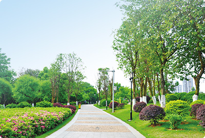 廣東東莞市橋頭鎮(zhèn)中心區(qū)環(huán)衛(wèi)清掃保潔及綠化養(yǎng)護(hù)項目